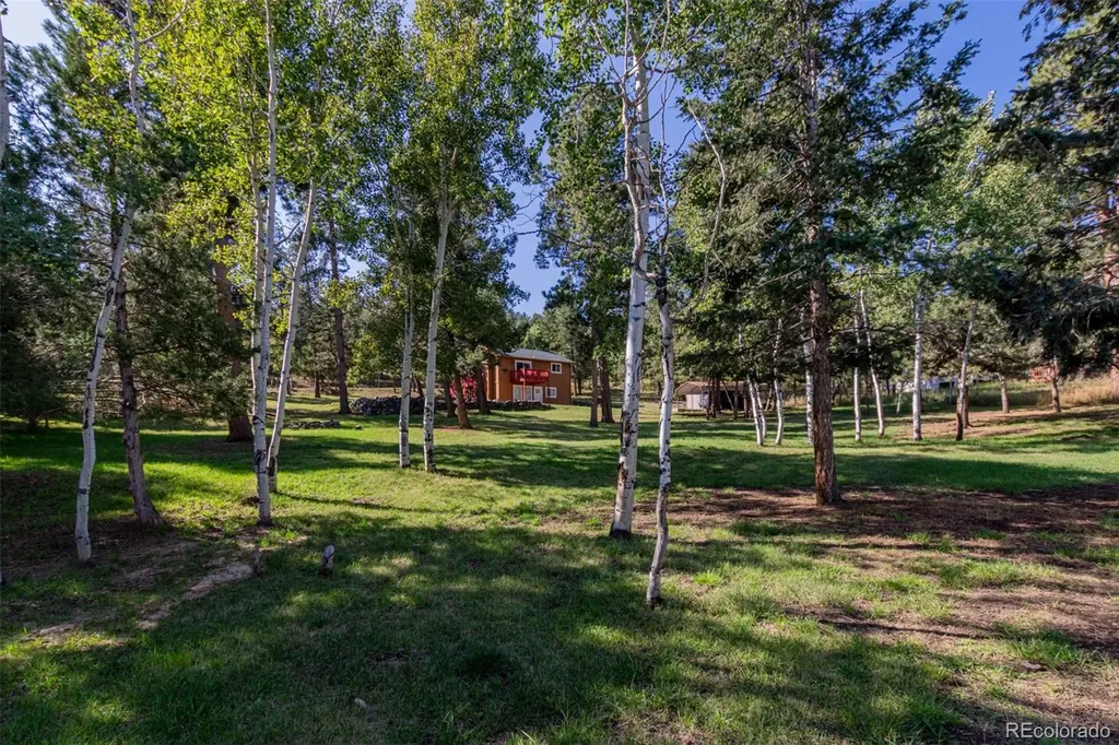 1462 Burland Drive Bailey CO 80421