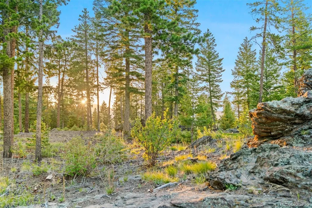 6391 Canyon Creek Road Evergreen CO 80439