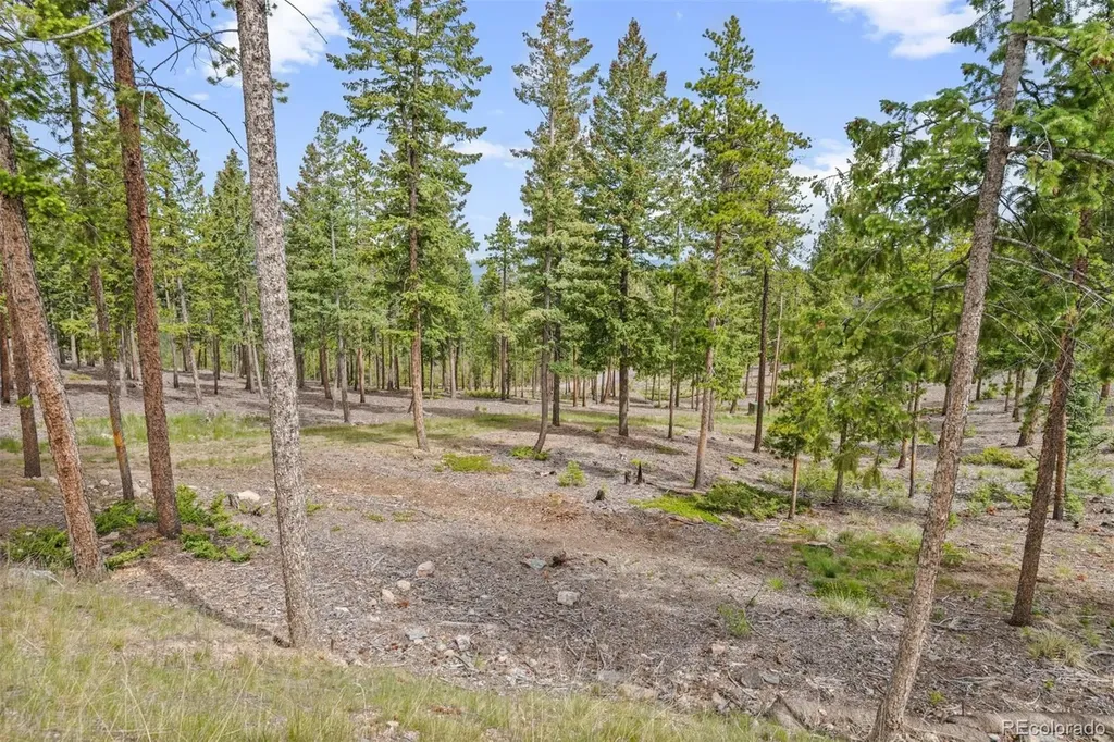 6391 Canyon Creek Road Evergreen CO 80439