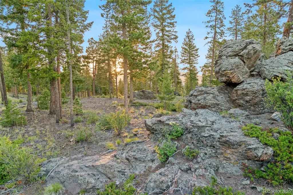 6391 Canyon Creek Road Evergreen CO 80439