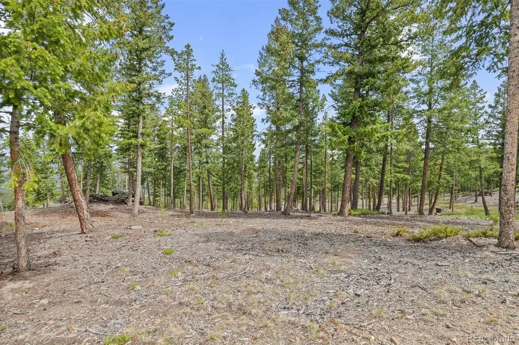 6391 Canyon Creek Road Evergreen CO 80439