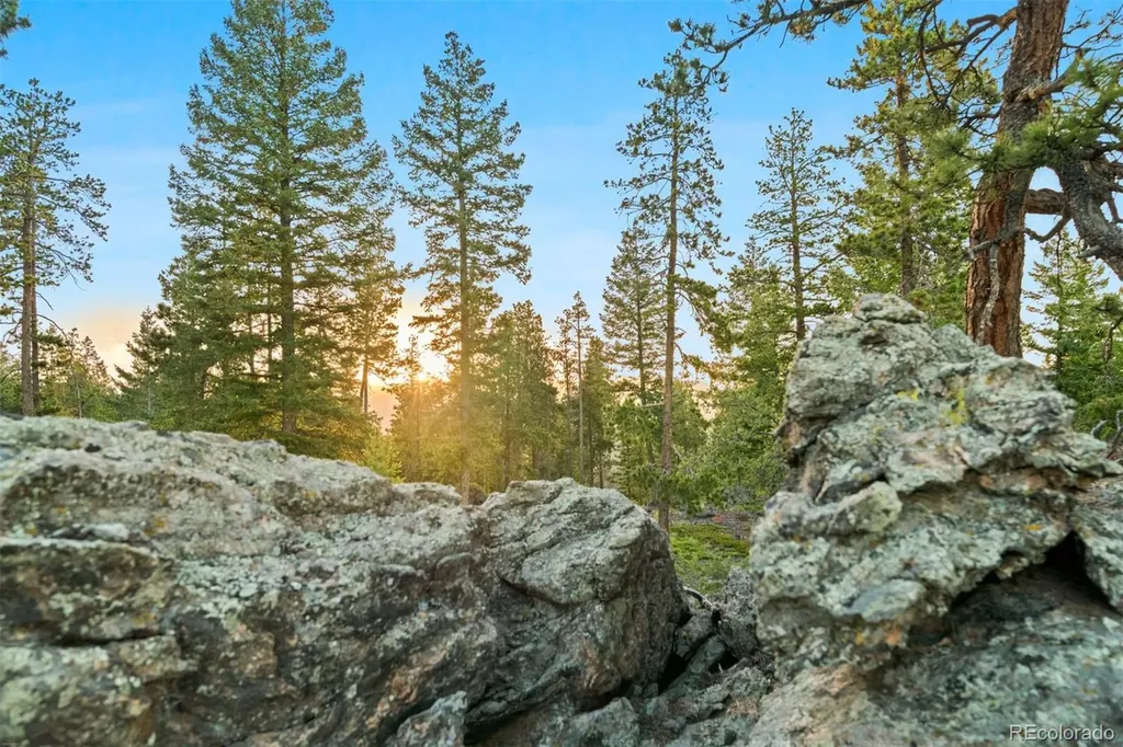 6391 Canyon Creek Road Evergreen CO 80439