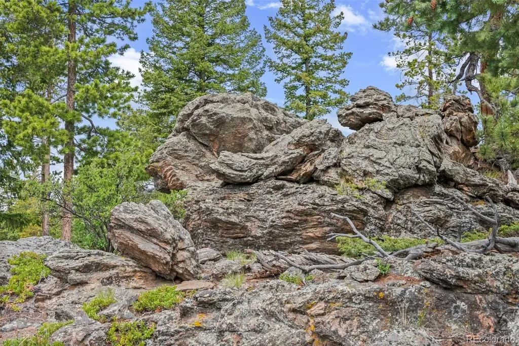 6391 Canyon Creek Road Evergreen CO 80439