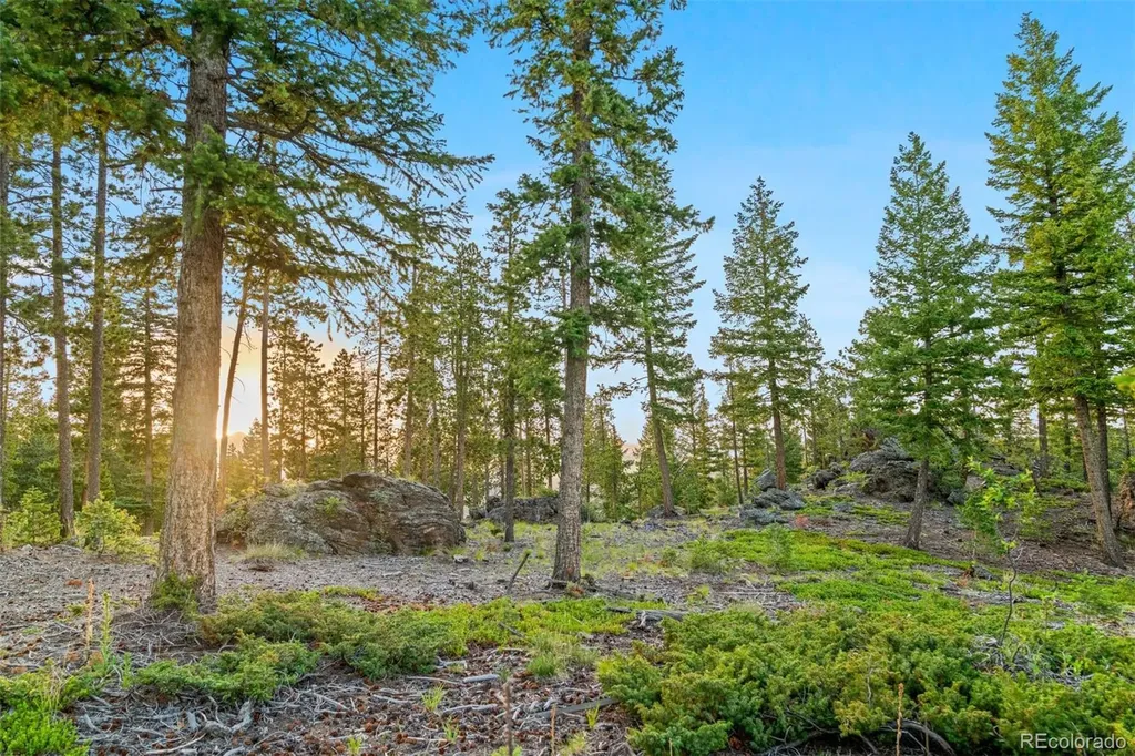6391 Canyon Creek Road Evergreen CO 80439