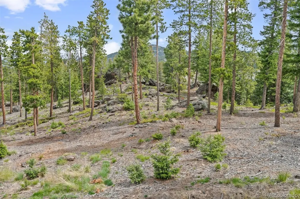 6391 Canyon Creek Road Evergreen CO 80439