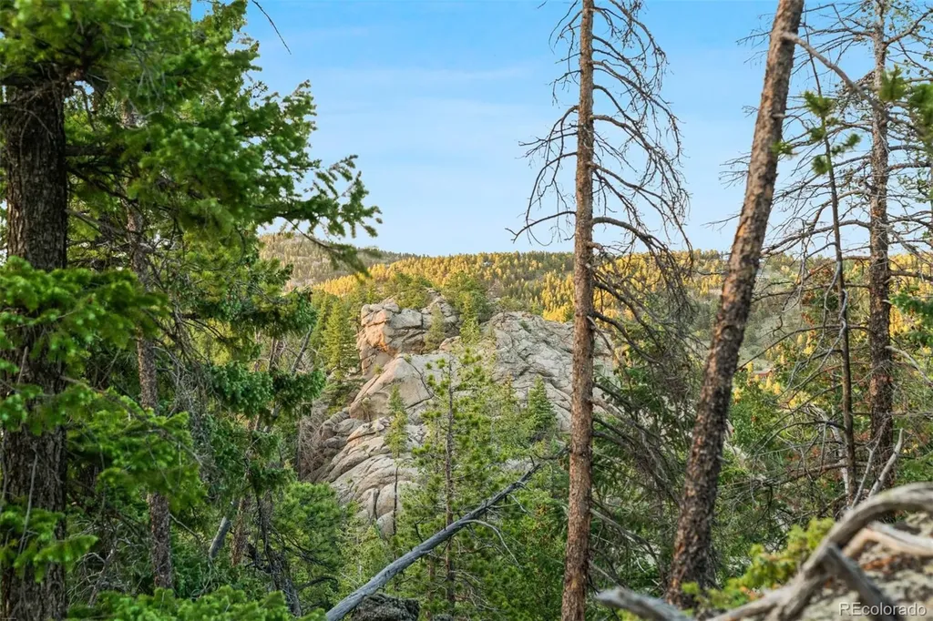 6391 Canyon Creek Road Evergreen CO 80439