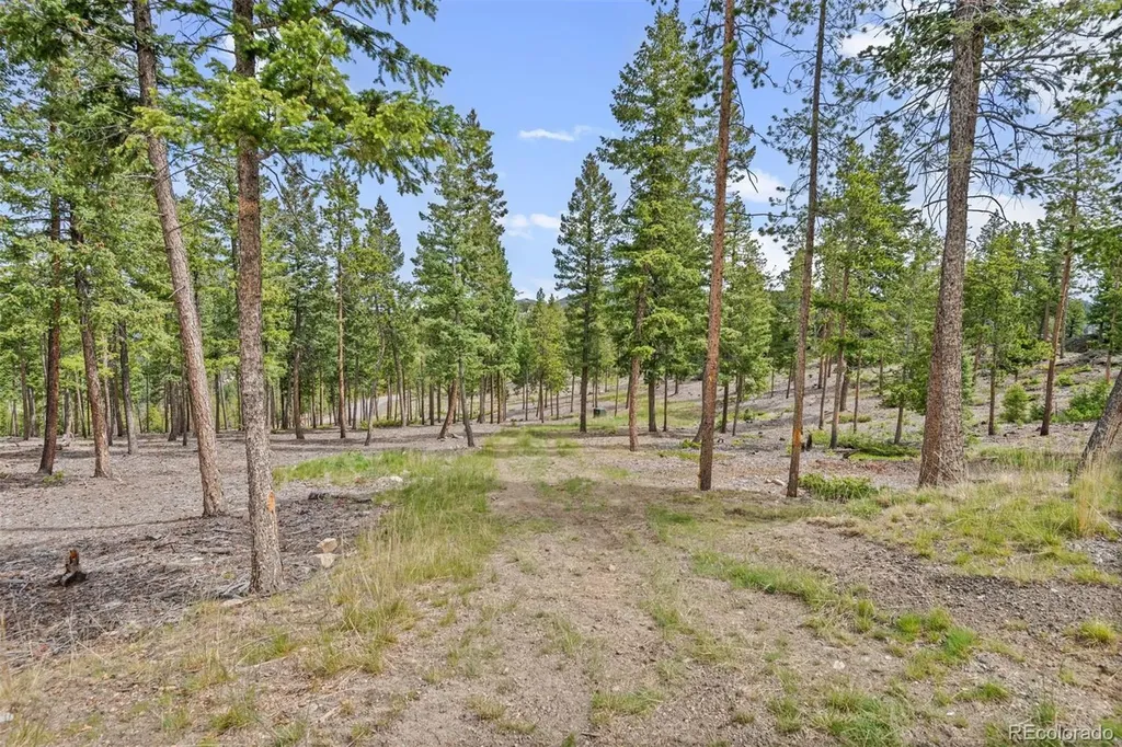 6391 Canyon Creek Road Evergreen CO 80439