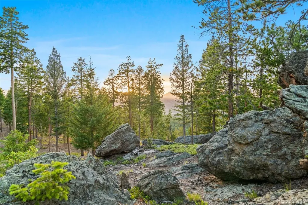 6391 Canyon Creek Road Evergreen CO 80439