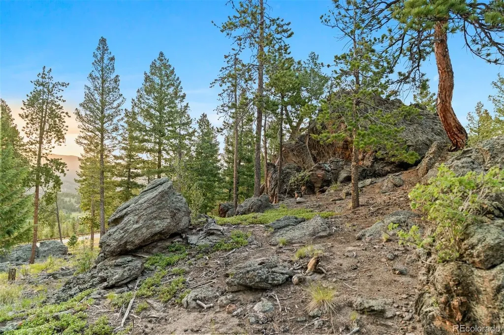 6391 Canyon Creek Road Evergreen CO 80439
