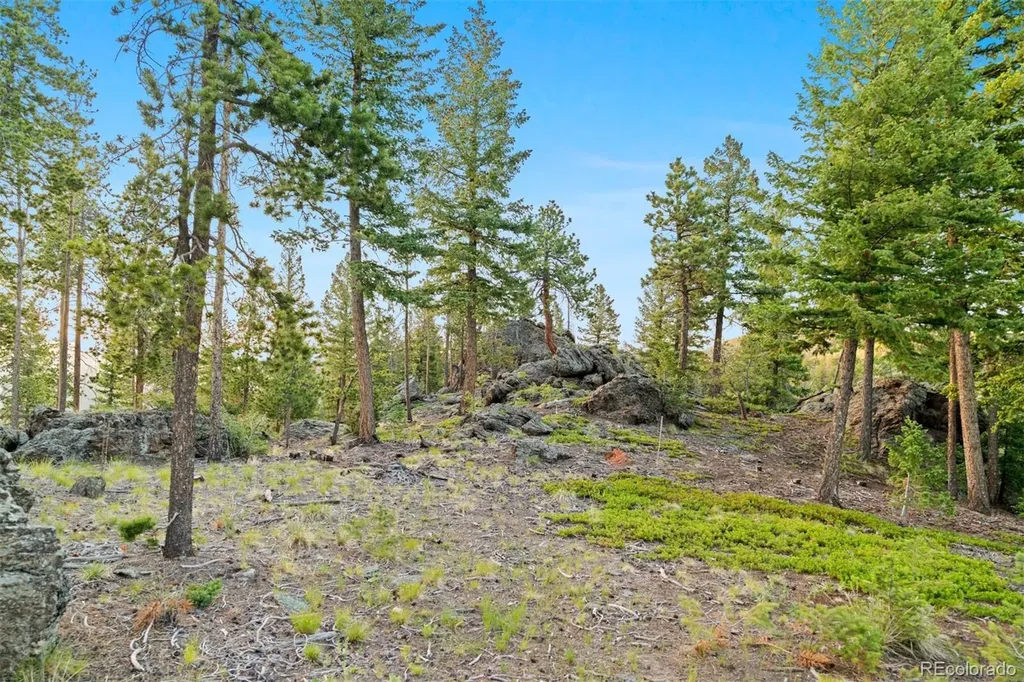 6391 Canyon Creek Road Evergreen CO 80439