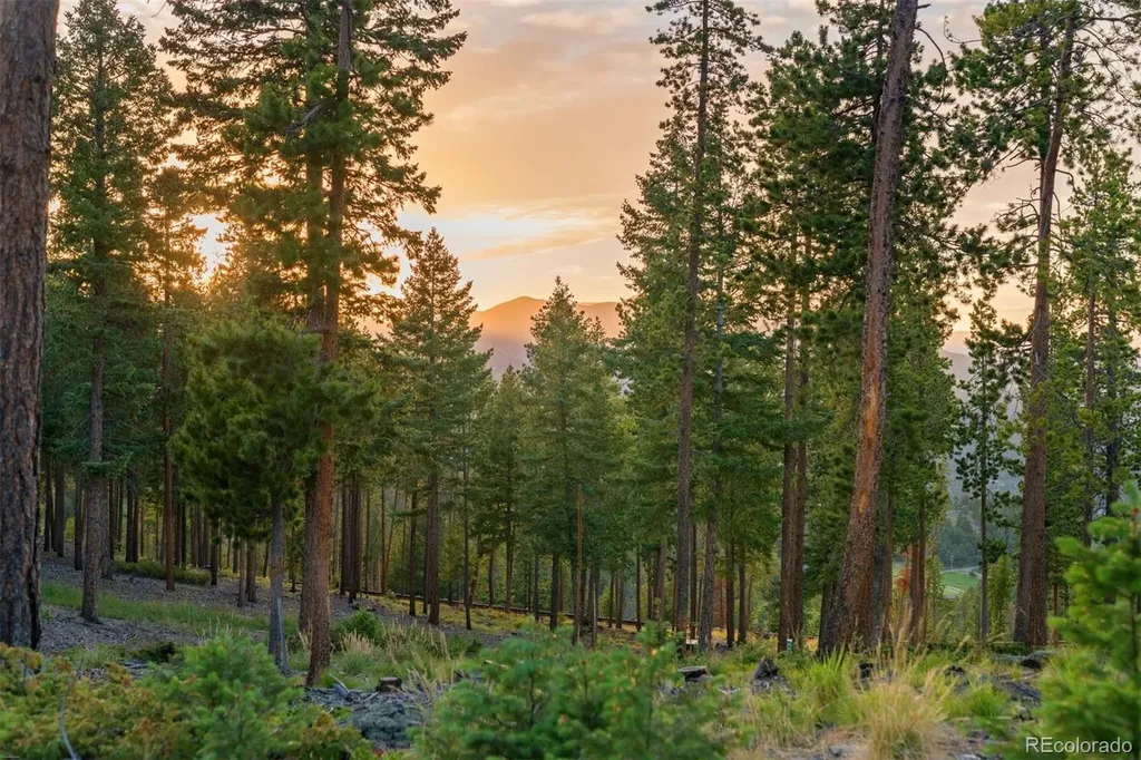 6391 Canyon Creek Road Evergreen CO 80439