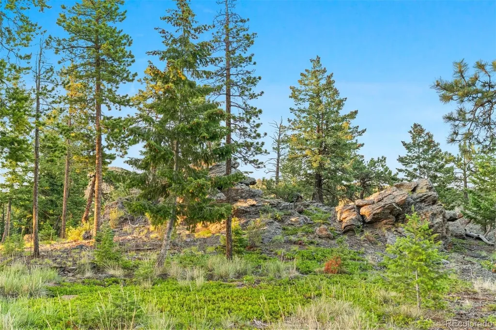 6391 Canyon Creek Road Evergreen CO 80439