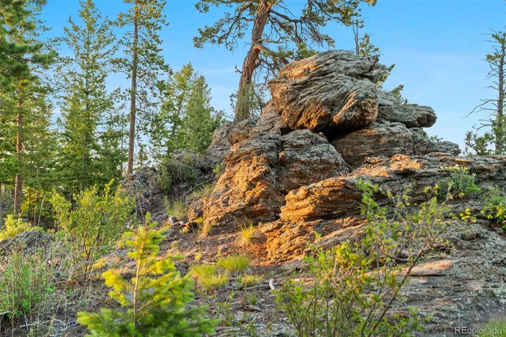 6391 Canyon Creek Road Evergreen CO 80439