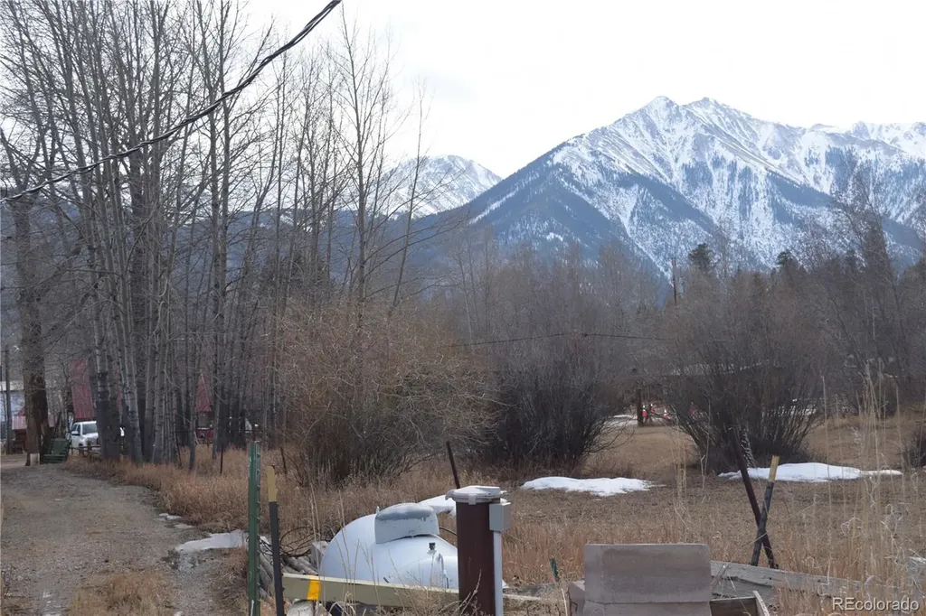 185 Lang Street Twin Lakes CO 81251