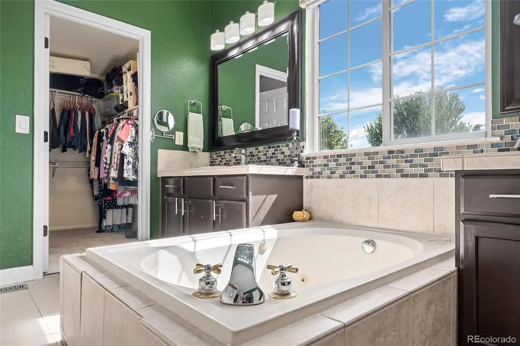 4526 Addenbrooke Loop Castle Rock CO 80109
