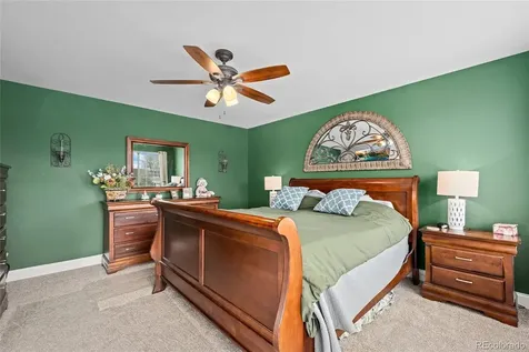 4526 Addenbrooke Loop Castle Rock CO 80109