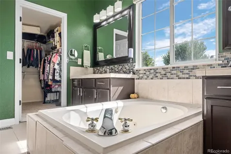 4526 Addenbrooke Loop Castle Rock CO 80109