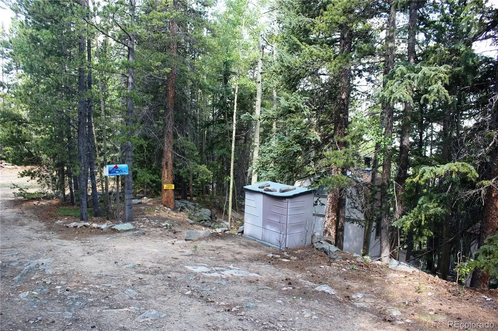 Lot 18 Hidden Wildernes Road Idaho Springs CO 80461