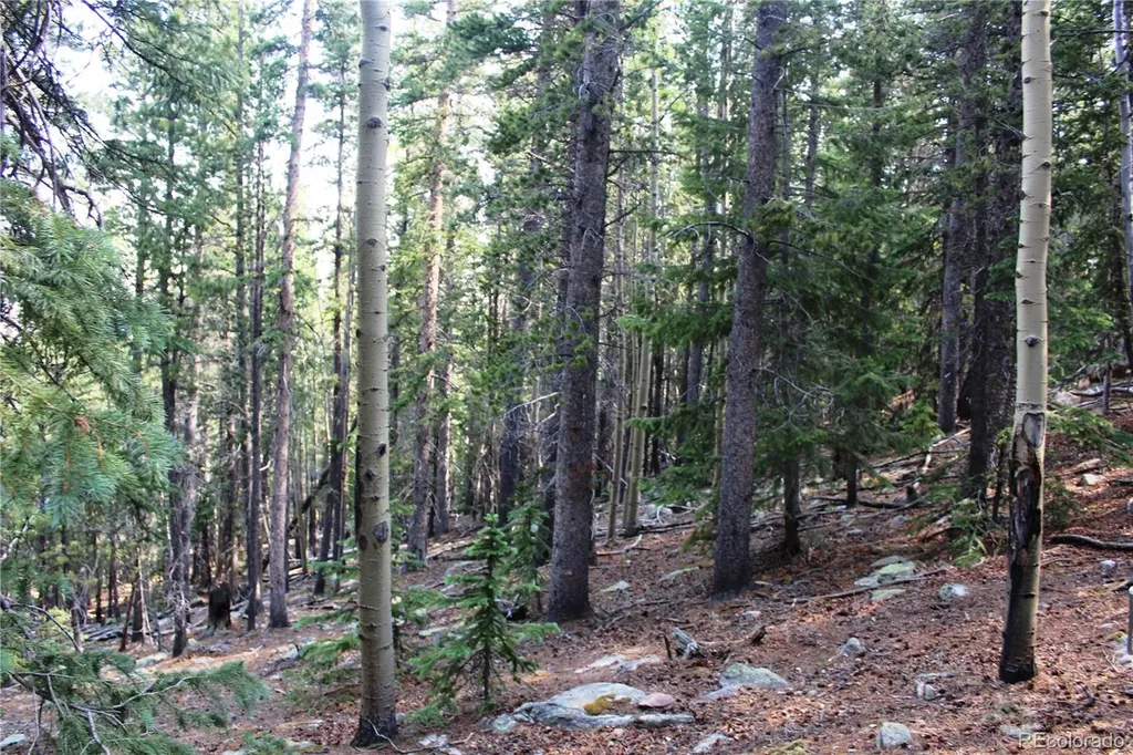 Lot 18 Hidden Wildernes Road Idaho Springs CO 80461
