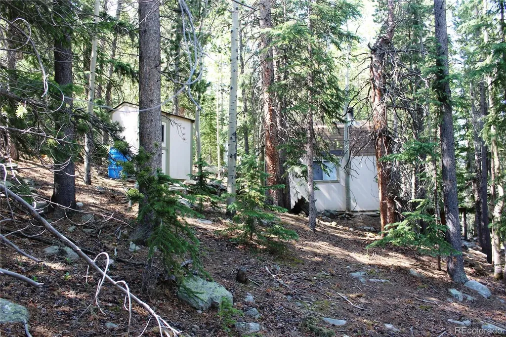 Lot 18 Hidden Wildernes Road Idaho Springs CO 80461