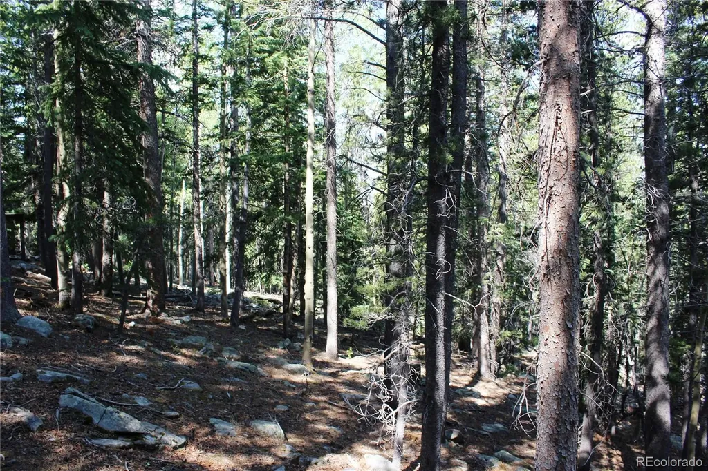 Lot 18 Hidden Wildernes Road Idaho Springs CO 80461