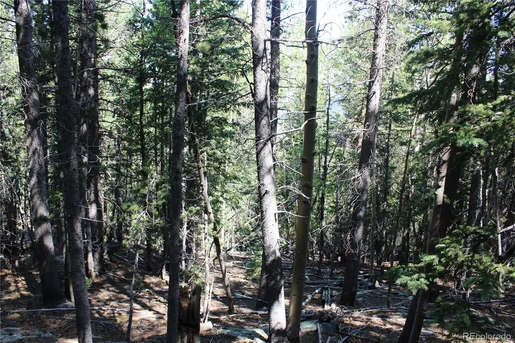 Lot 18 Hidden Wildernes Road Idaho Springs CO 80461