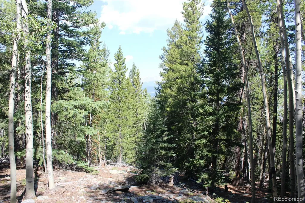 Lot 18 Hidden Wildernes Road Idaho Springs CO 80461