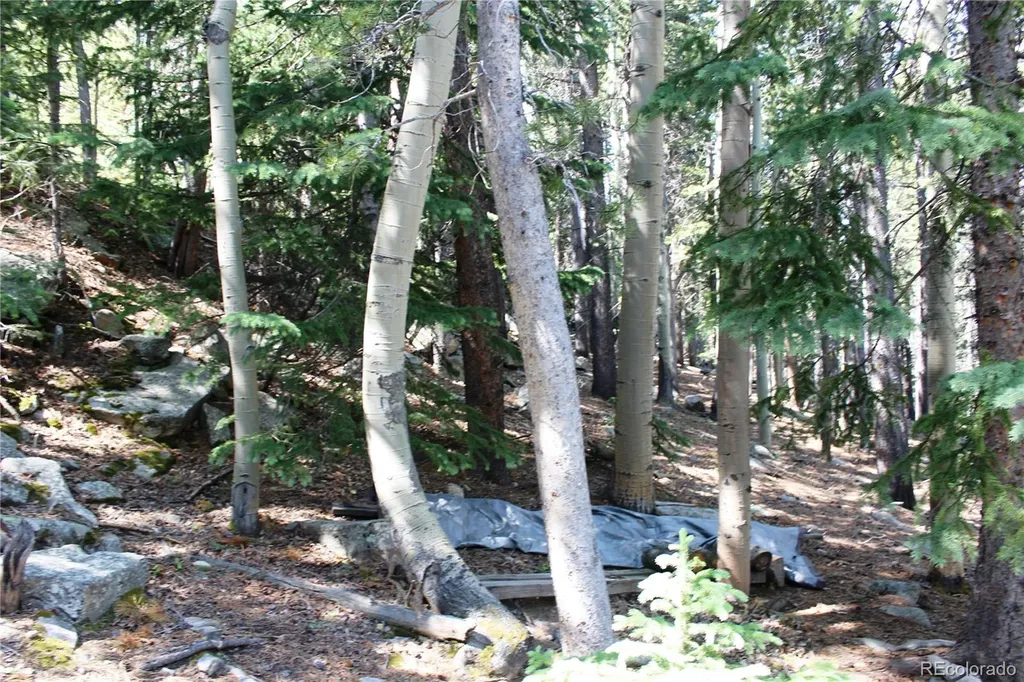 Lot 18 Hidden Wildernes Road Idaho Springs CO 80461