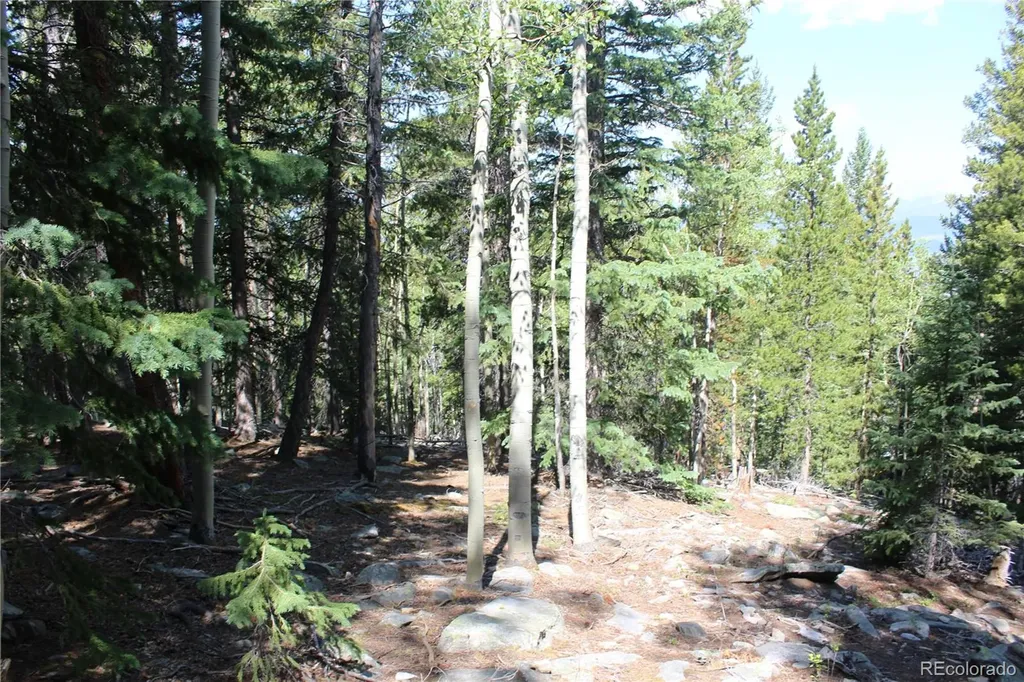Lot 18 Hidden Wildernes Road Idaho Springs CO 80461