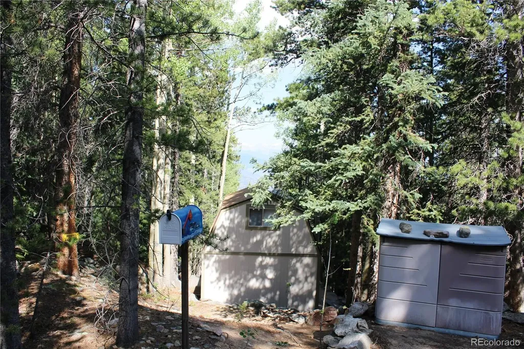 Lot 18 Hidden Wildernes Road Idaho Springs CO 80461