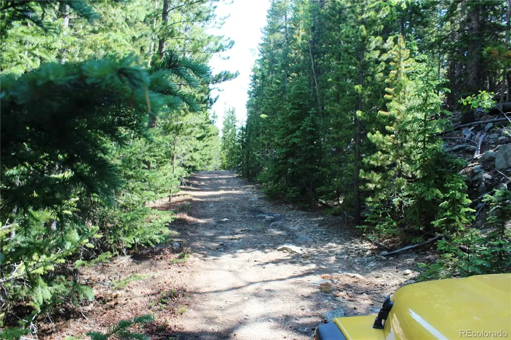 Lot 18 Hidden Wildernes Road Idaho Springs CO 80461