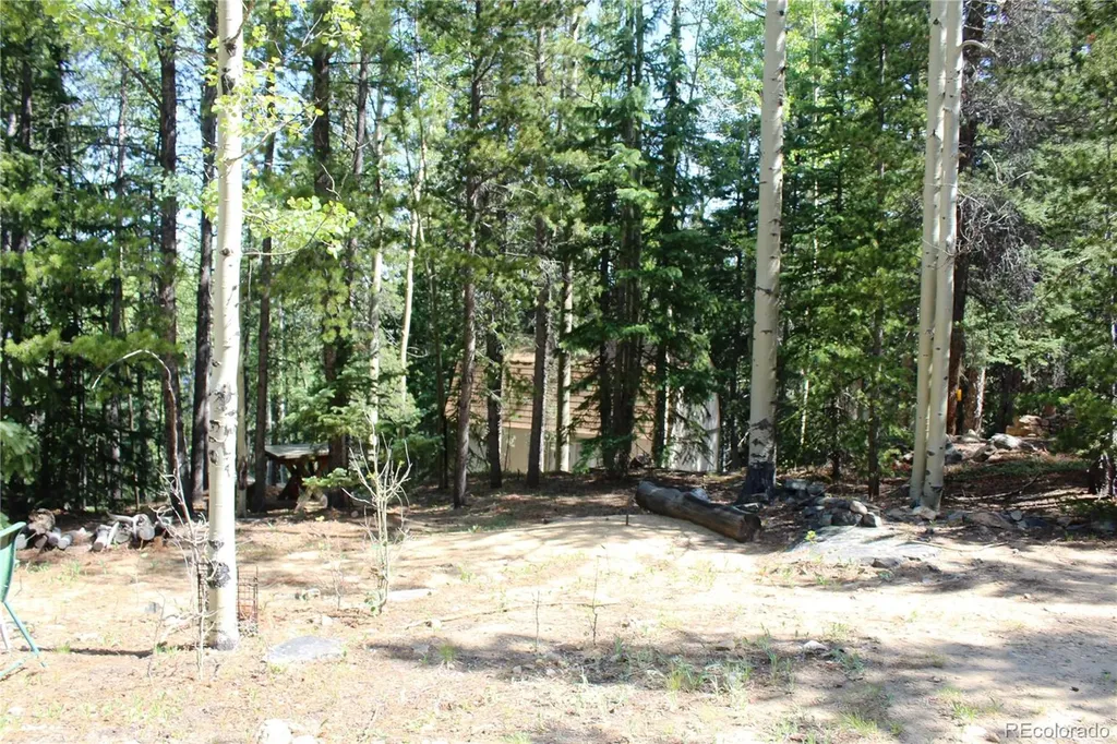 Lot 18 Hidden Wildernes Road Idaho Springs CO 80461