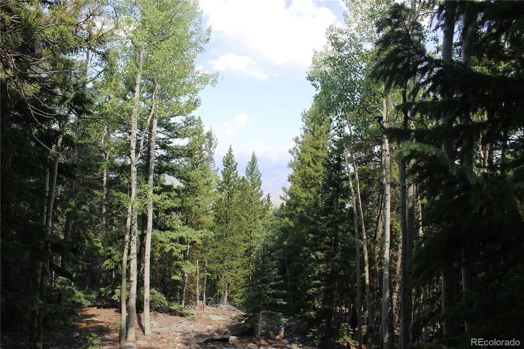 Lot 18 Hidden Wildernes Road Idaho Springs CO 80461