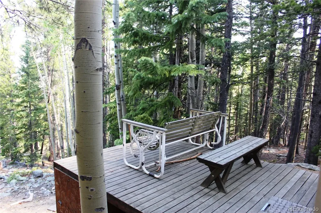 Lot 18 Hidden Wildernes Road Idaho Springs CO 80461