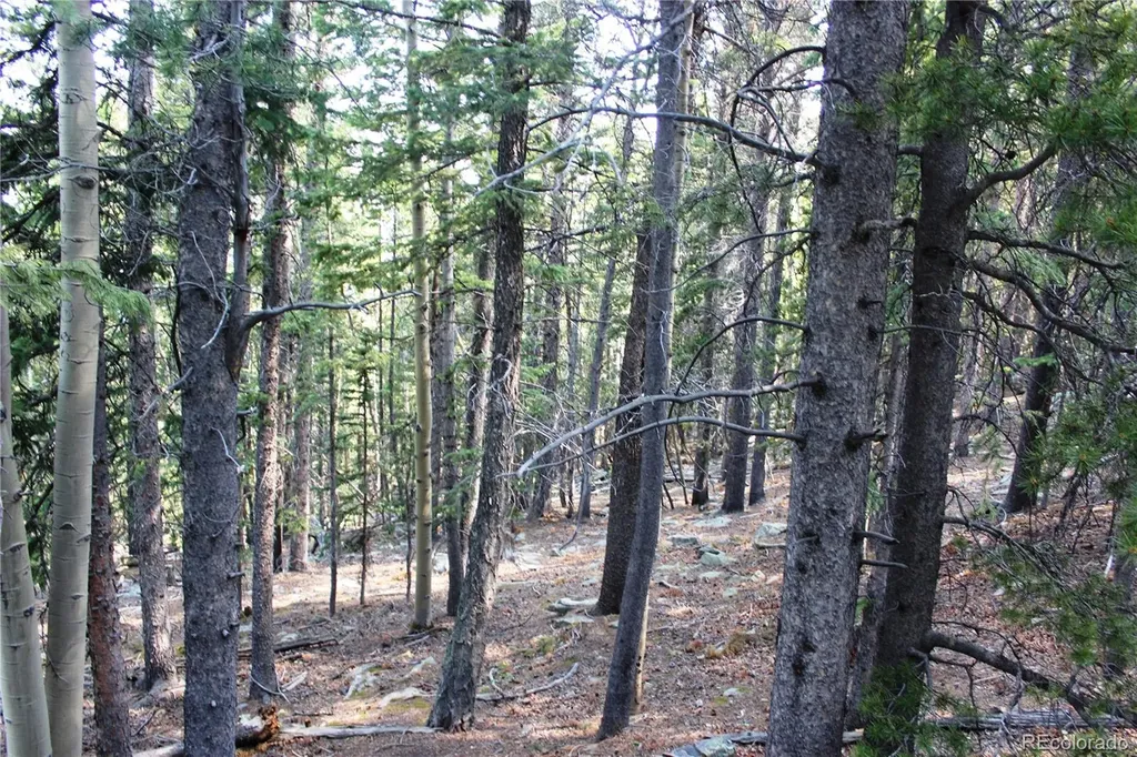 Lot 18 Hidden Wildernes Road Idaho Springs CO 80461