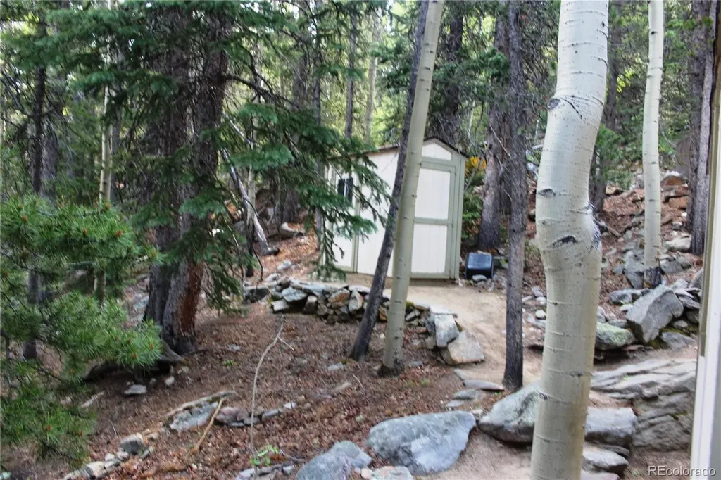 Lot 18 Hidden Wildernes Road Idaho Springs CO 80461