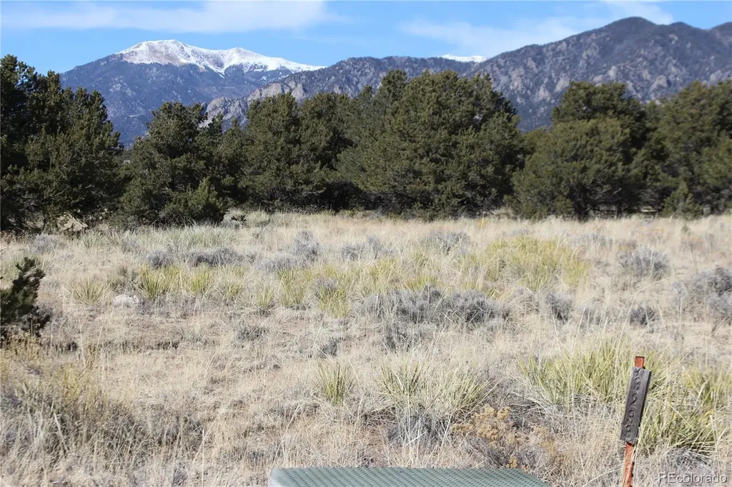 3233 Camino Del Rey Crestone CO 81131