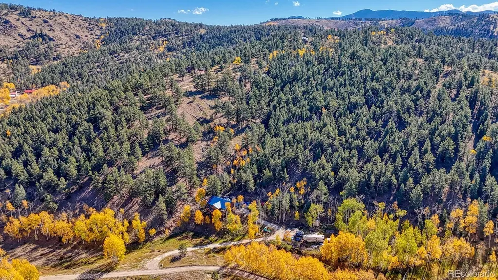 294 Vista De Agua Trail Westcliffe CO 81252