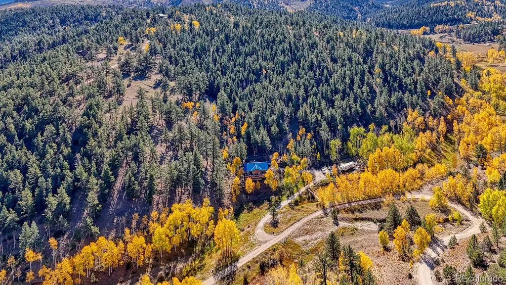 294 Vista De Agua Trail Westcliffe CO 81252