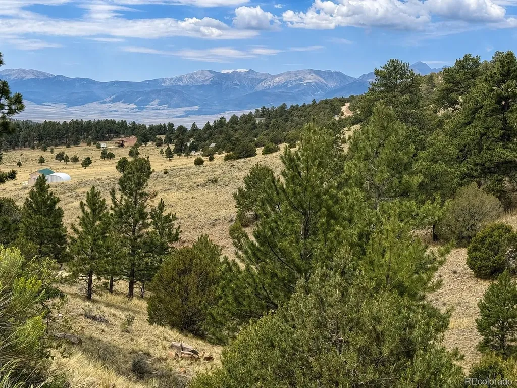 1054 Keepsake Loop Westcliffe CO 81252