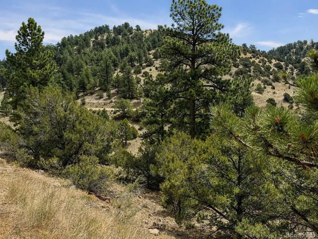 1054 Keepsake Loop Westcliffe CO 81252