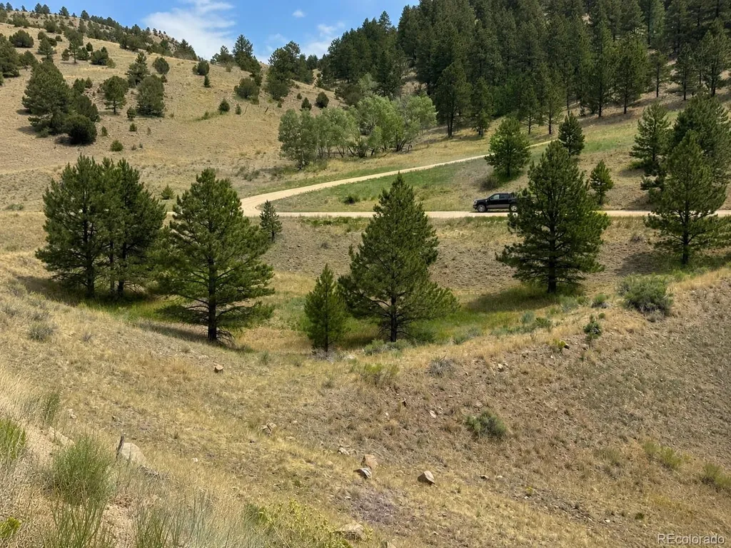 1054 Keepsake Loop Westcliffe CO 81252