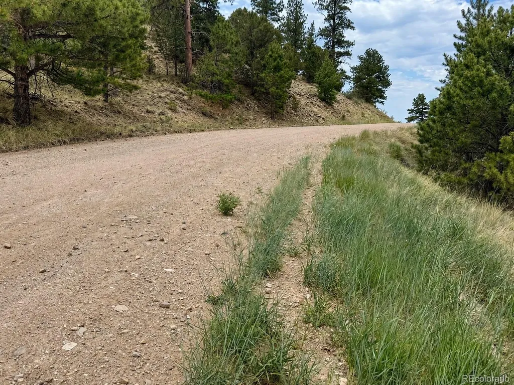 1054 Keepsake Loop Westcliffe CO 81252