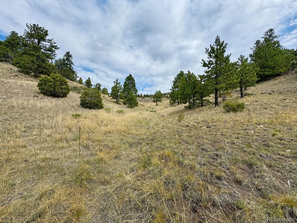 1054 Keepsake Loop Westcliffe CO 81252