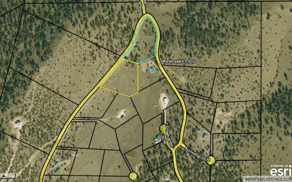 1054 Keepsake Loop Westcliffe CO 81252