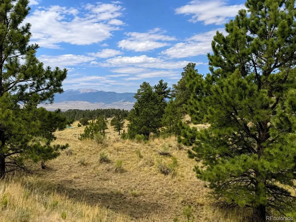 1054 Keepsake Loop Westcliffe CO 81252