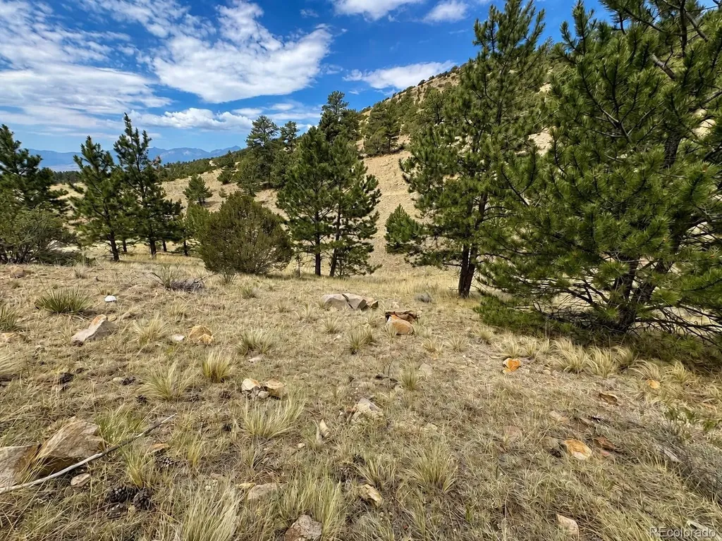 1054 Keepsake Loop Westcliffe CO 81252
