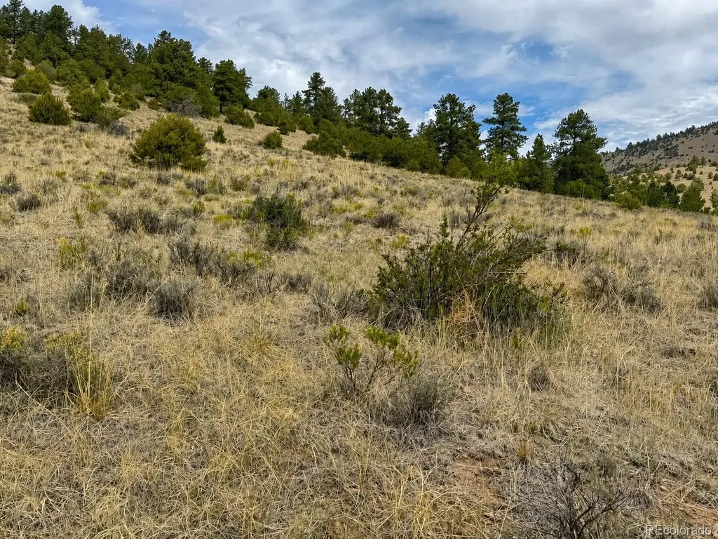 1054 Keepsake Loop Westcliffe CO 81252