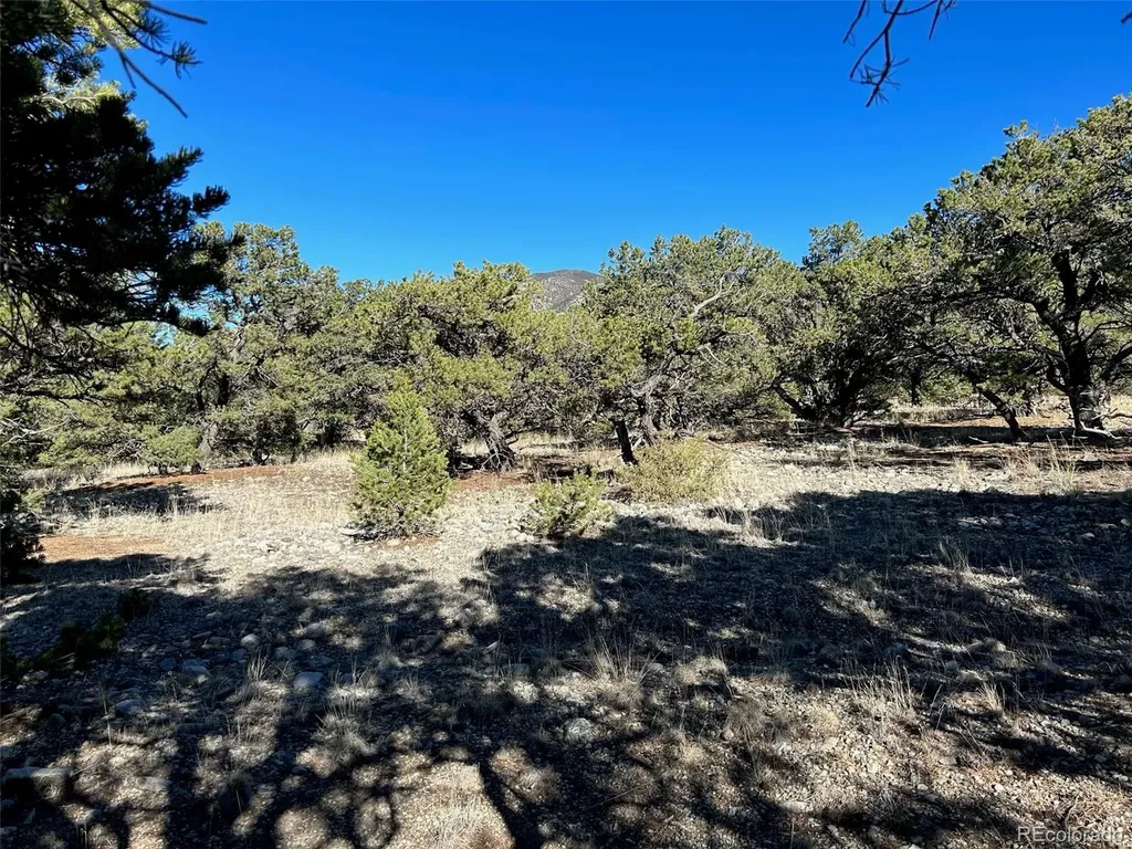 03 Mill Run Road Mosca CO 81146