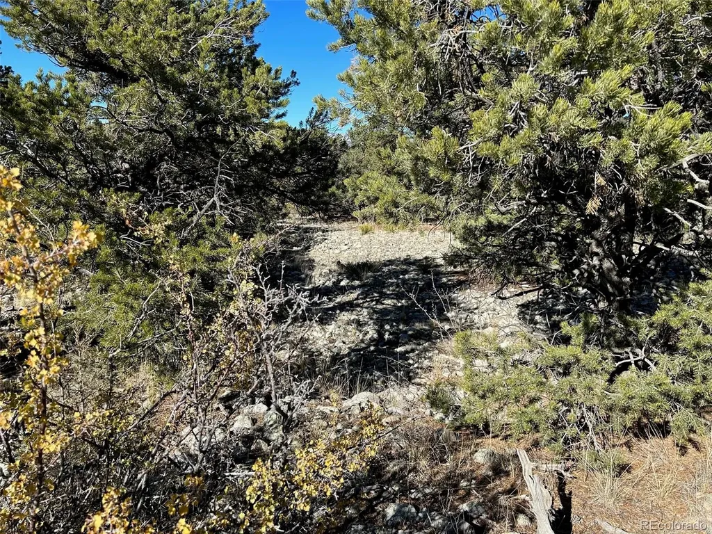 03 Mill Run Road Mosca CO 81146